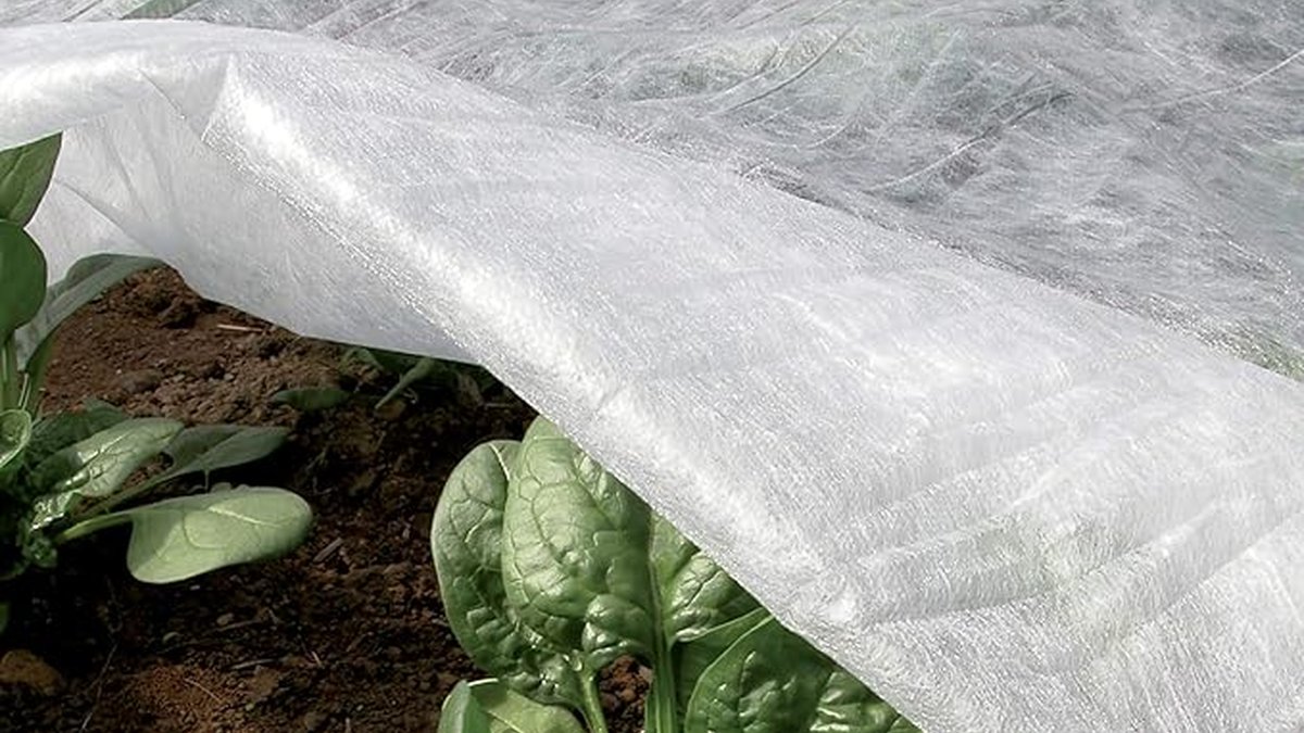 Les 5 meilleurs voiles d'hivernage pour plantes en 2026