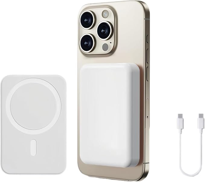 Lizenthropy MagSafe 10 000 mAh