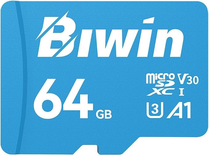 Biwin MS100 64 Go