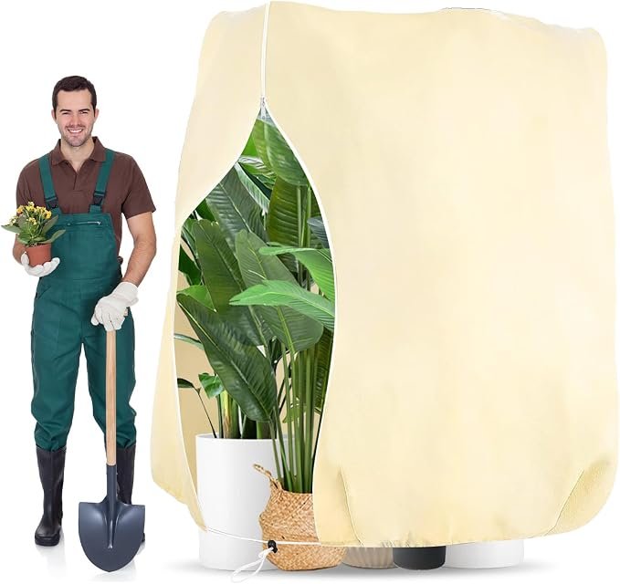 Zovrixia Budget Solide 70 g/m²